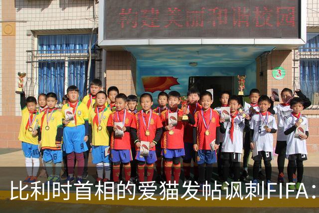 比利时首相的爱猫发帖讽刺FIFA：“红牌？”我照样继续踢！